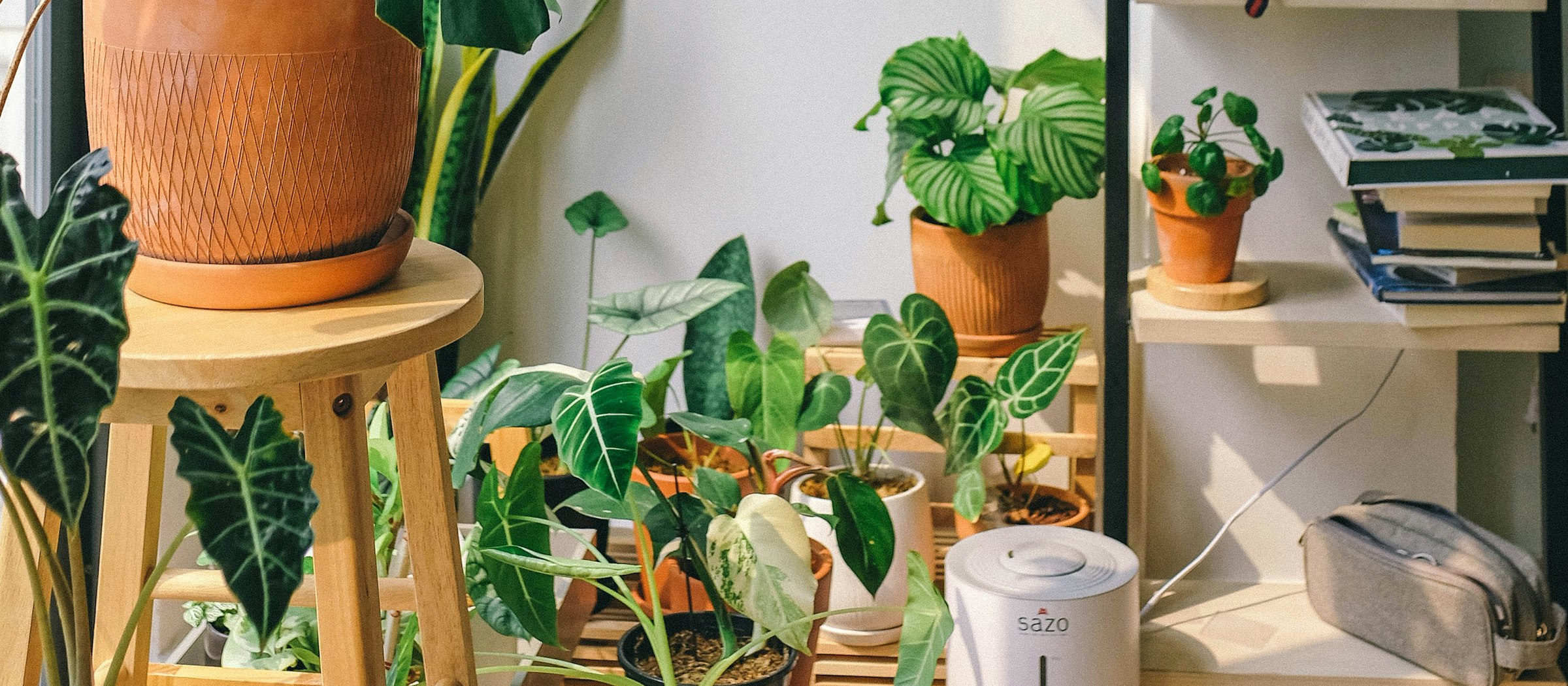 Green corners, made easy